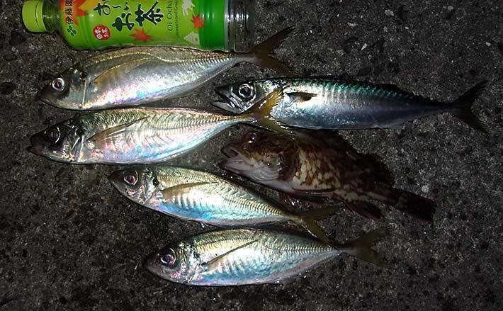沖堤サビキ釣りでデカアジ御用 緑色 仕掛けが奏功 武庫川一文字 21年1月17日 エキサイトニュース 沖堤サビキ釣りでデカアジ御用 緑色 仕掛けが奏功 武庫川一文字 21年1月17日 エキサイトニュース