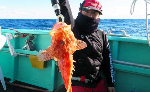 愛知 三重 沖のエサ釣り最新釣果 高級鍋食材 オニカサゴ が好機 21年1月13日 エキサイトニュース