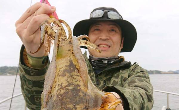 ティップランエギング でキロ級含めてアオリイカ８尾 佐賀 Wingar 21年1月16日 エキサイトニュース