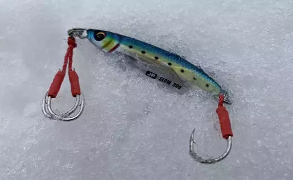 「「境水道」シーバスゲームが絶好調　メタルジグで20尾キャッチ【島根】」の画像