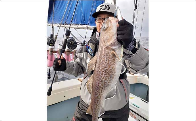 スロージギングで「マダラ」狙い　腹パンの白子に舌鼓【京都・宮津沖】