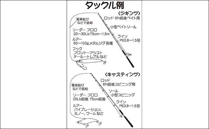 東京湾 オフショアシーバスゲーム 入門 タックル ルアー 釣り方 21年1月21日 エキサイトニュース