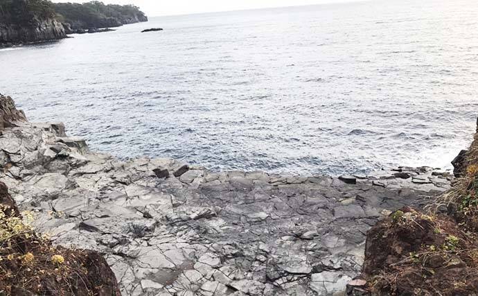 ナイトエギングでヤリイカ接岸確認　アオリ＆ケンサキも【八幡野港】