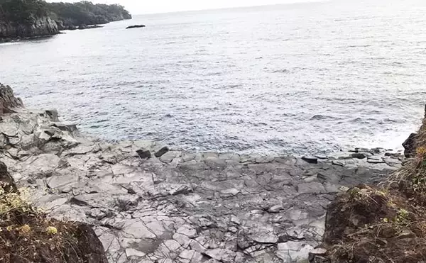 「ナイトエギングでヤリイカ接岸確認　アオリ＆ケンサキも【八幡野港】」の画像