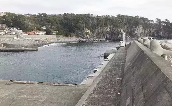 「ナイトエギングでヤリイカ接岸確認　アオリ＆ケンサキも【八幡野港】」の画像