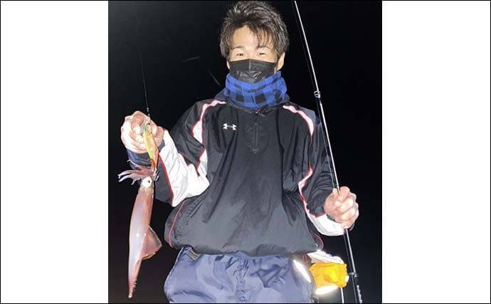 ナイトエギングでヤリイカ接岸確認　アオリ＆ケンサキも【八幡野港】