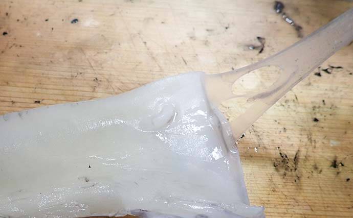 【釣果レシピ】コウイカの「イカスミパスタ」　持ち帰り方にはご注意を