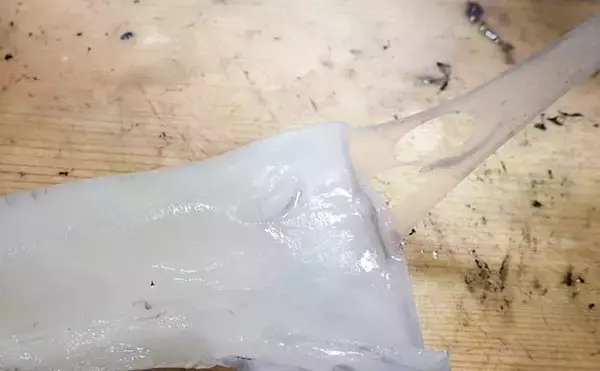 「【釣果レシピ】コウイカの「イカスミパスタ」　持ち帰り方にはご注意を」の画像