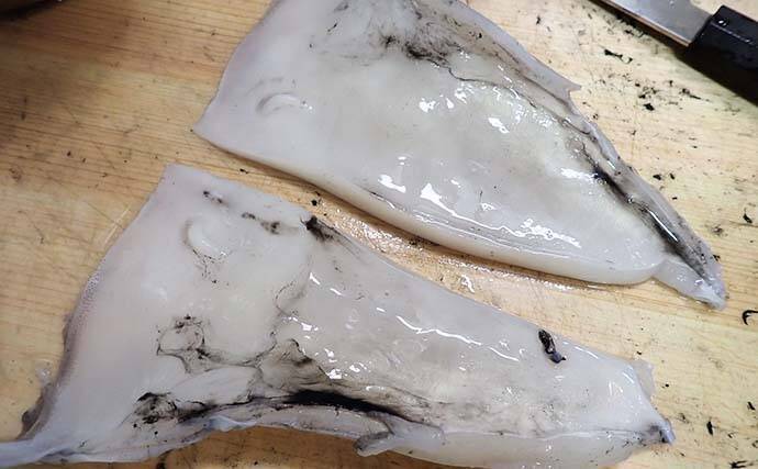 【釣果レシピ】コウイカの「イカスミパスタ」　持ち帰り方にはご注意を