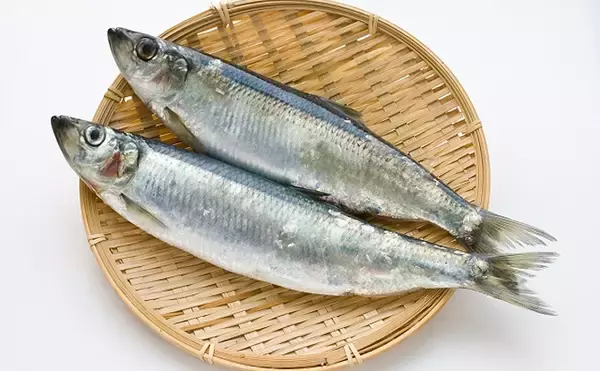 「ポーランドで食される『ニシンの日本風』は勘違いから生まれた料理？」の画像