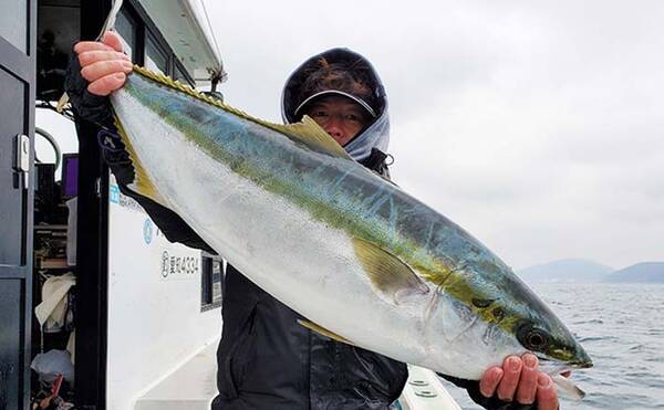 愛知 沖のエサ釣り最新釣果 泳がせで10kg超 巨大ブリ 浮上 21年1月25日 エキサイトニュース