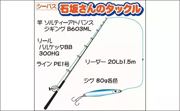 「東京湾「ルアーシーバス」で本命連発　初心者でも満足釣果に【つり幸】」の画像