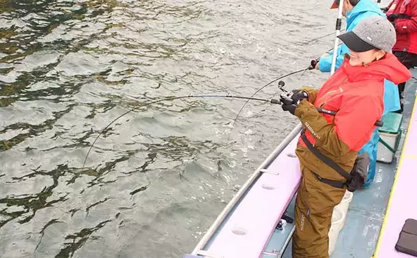 「東京湾「ルアーシーバス」で本命連発　初心者でも満足釣果に【つり幸】」の画像