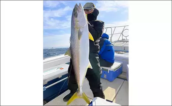 「【福岡】落とし込み最新釣果　10kg級ヒラマサ＆ブリなど大型青物続々」の画像