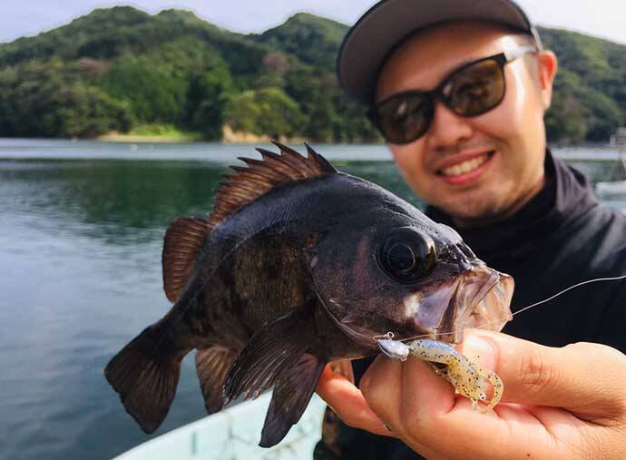 偏光サングラス レンズの選び方 2大素材ガラス プラスチックの違い 21年2月6日 エキサイトニュース 2 3