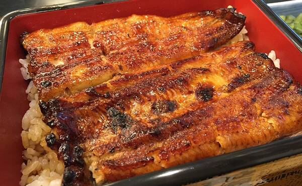 外来魚 ヨーロッパウナギ が貴重なマスを食い荒らす 西湖で問題に 21年2月13日 エキサイトニュース 外来魚 ヨーロッパウナギ が貴重なマスを食い荒らす 西湖で問題に 21年2月13日 エキサイトニュース