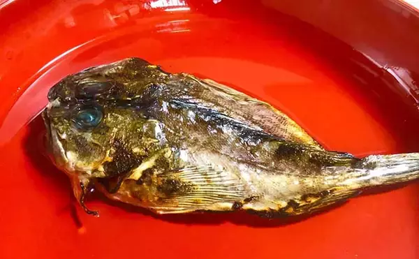 【釣果レシピ】カサゴの干物で作る「骨酒」　濃厚ながら後味スッキリ