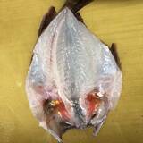 「【釣果レシピ】カサゴの干物で作る「骨酒」　濃厚ながら後味スッキリ」の画像4