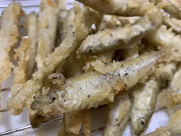 「琵琶湖のワカサギは釣らずに「すくう」？　大人もハマる真冬の夜遊び」の画像