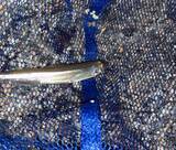 「琵琶湖のワカサギは釣らずに「すくう」？　大人もハマる真冬の夜遊び」の画像2