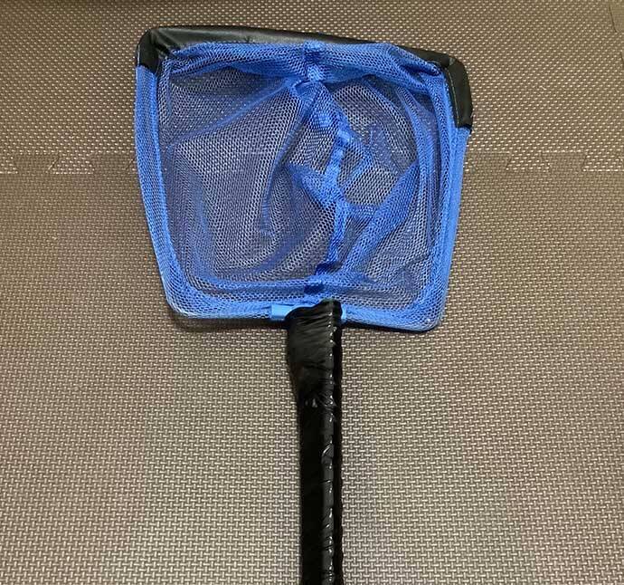 琵琶湖の『ワカサギすくい』初心者入門　シーズン・ポイント・すくい方