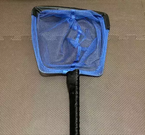 「琵琶湖の『ワカサギすくい』初心者入門　シーズン・ポイント・すくい方」の画像