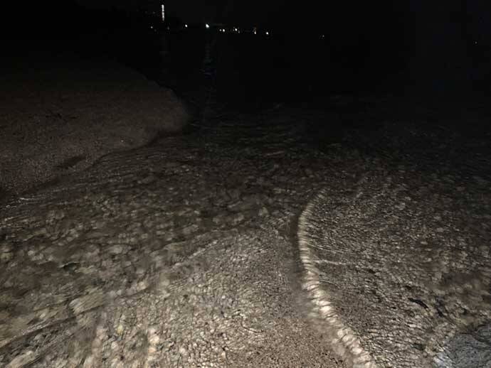 琵琶湖の『ワカサギすくい』初心者入門　シーズン・ポイント・すくい方