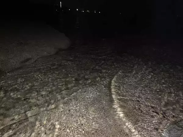 「琵琶湖の『ワカサギすくい』初心者入門　シーズン・ポイント・すくい方」の画像