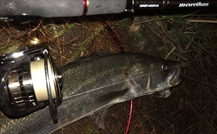 シーバスゲーム用 Peライン の選び方 コーティング 編み数は要確認 21年2月27日 エキサイトニュース シーバスゲーム用 Peライン の選び方 コーティング 編み数は要確認 21年2月27日 エキサイトニュース