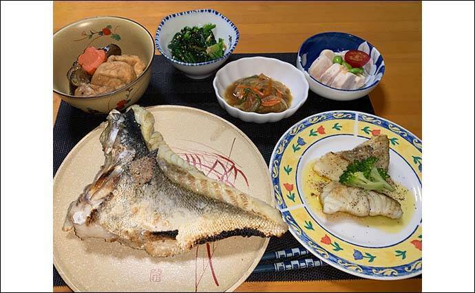 『エビ撒き釣り』で74cm筆頭に「スズキ」連打【愛知・大野漁港】