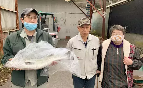 「『エビ撒き釣り』で74cm筆頭に「スズキ」連打【愛知・大野漁港】」の画像