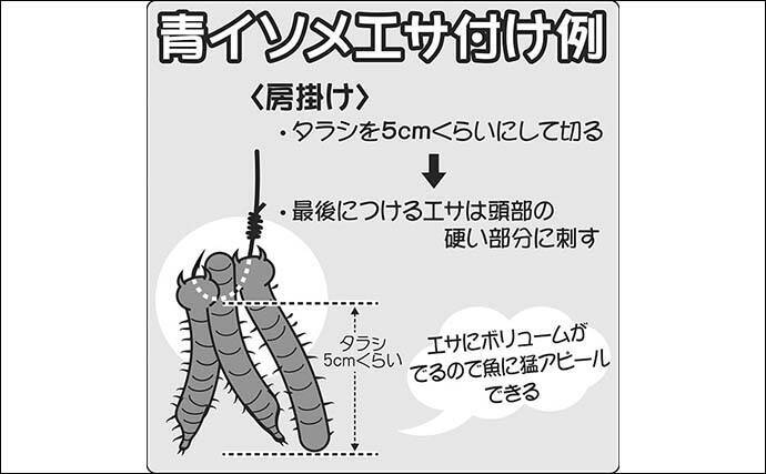 東京湾21 船マコガレイ釣り基本 タックル 釣り方 おすすめ船宿 21年2月18日 エキサイトニュース 2 2