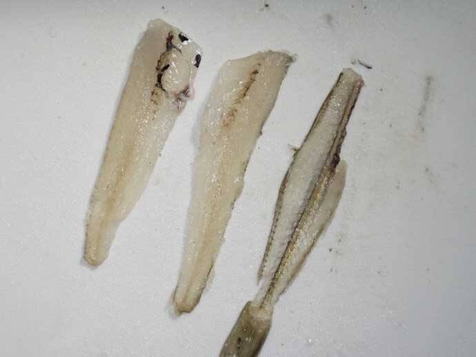 釣果レシピ キスと季節の野菜の炒め物 旬の野菜使って季節感アップ 21年3月2日 エキサイトニュース