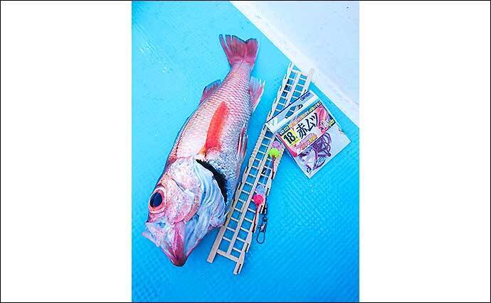 犬吠沖のアカムツ釣りで本命4尾　春先の本番にむけて好気配【丸天丸】