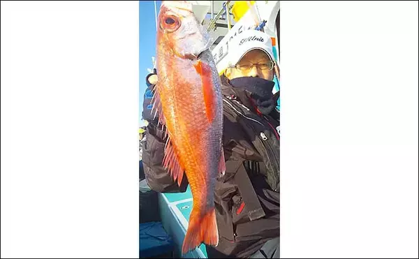 「犬吠沖のアカムツ釣りで本命4尾　春先の本番にむけて好気配【丸天丸】」の画像