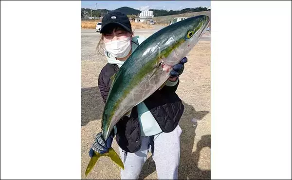 「【愛知・三重】沖のルアー最新釣果　伊勢湾ジギングでブリ族好調継続」の画像