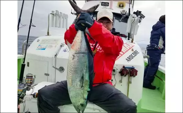 「【愛知・三重】沖のルアー最新釣果　伊勢湾ジギングでブリ族好調継続」の画像