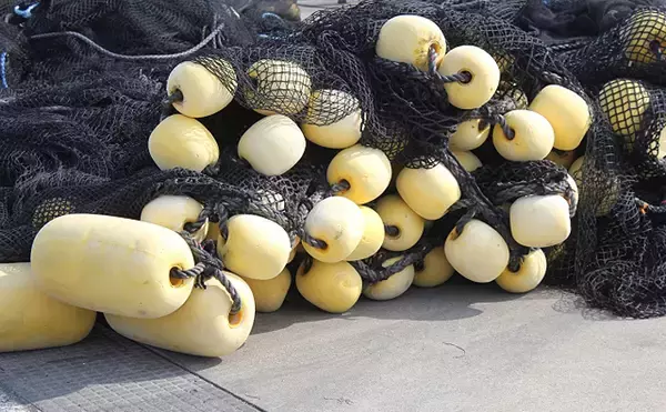 ダイバーが海底の漁網を回収する試み　廃漁具が海洋汚染の原因にも？