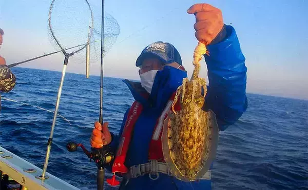 「エサ巻きエギでコウイカエギング　後半苦戦も本命3匹ゲット【忠栄丸】」の画像