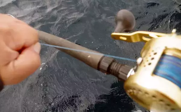 「【2021南房】コマセイサキ釣りが開幕から好調　基本の釣り方を紹介」の画像