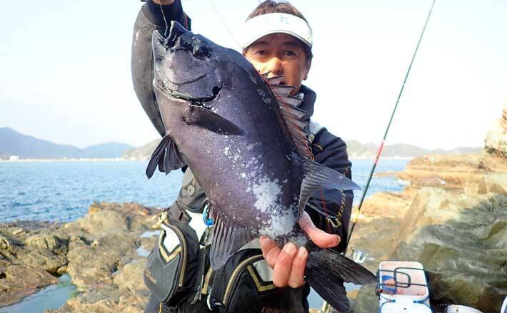 良型イシダイ浅ダナに接近中 石物釣りで2 5kg 銀ワサ 手中 鹿児島 21年3月21日 エキサイトニュース