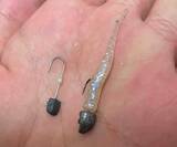 「『ジグヘッド単体リグ（ジグ単）』のキホン：釣物別セッティングパターン」の画像3