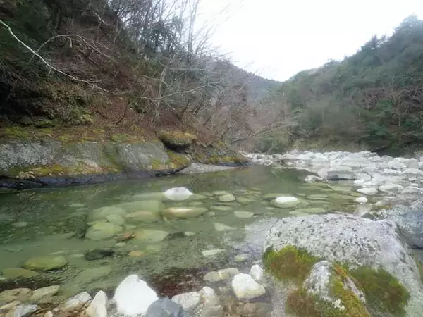 「解禁日に楽しむ渓流ルアー釣り　止水エリア狙いアマゴ12匹【芦廼瀬川】」の画像