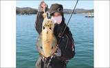 「『イカダエギング』で良型の春アオリイカ好調　キロ級含め連発【三重】」の画像5