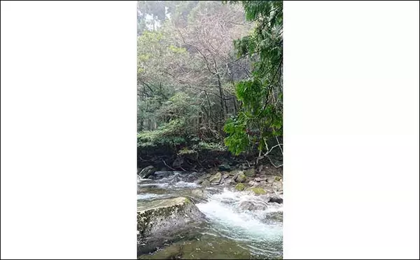 「今さら聞けない渓流釣りのキホン：代表的な3つの釣り方とは？」の画像