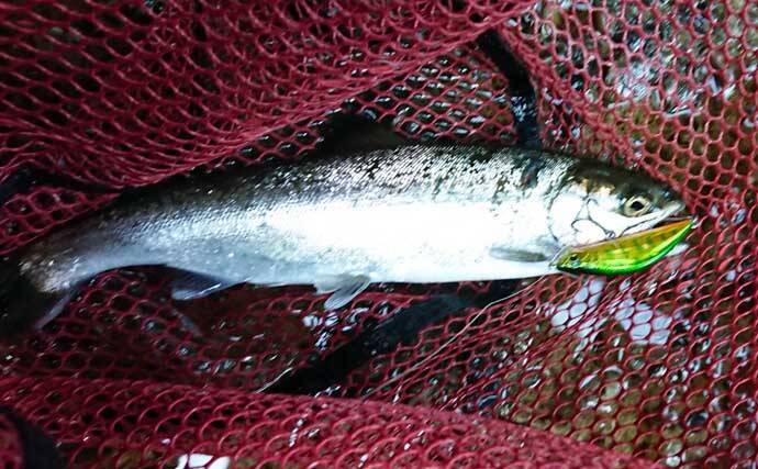 今さら聞けない渓流釣りのキホン：代表的な3つの釣り方とは？