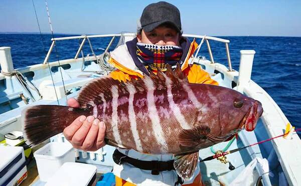 イワシ泳がせ釣りで3kg級頭にマハタ ヒラメ船中続々 千葉 春日丸 21年3月24日 エキサイトニュース