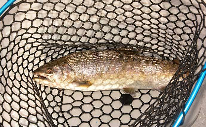 解禁直後のボートトラウトゲーム堪能　乗らないアタリに苦戦【芦ノ湖】