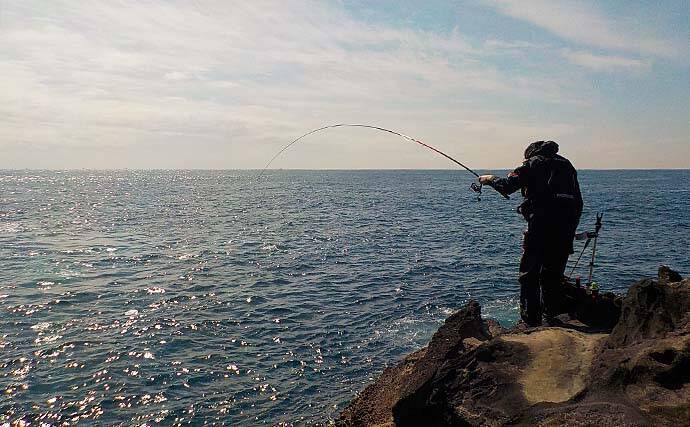 フカセ釣りで38cm頭にメジナ9尾　エサ取り少なく納得釣行【城ヶ島】