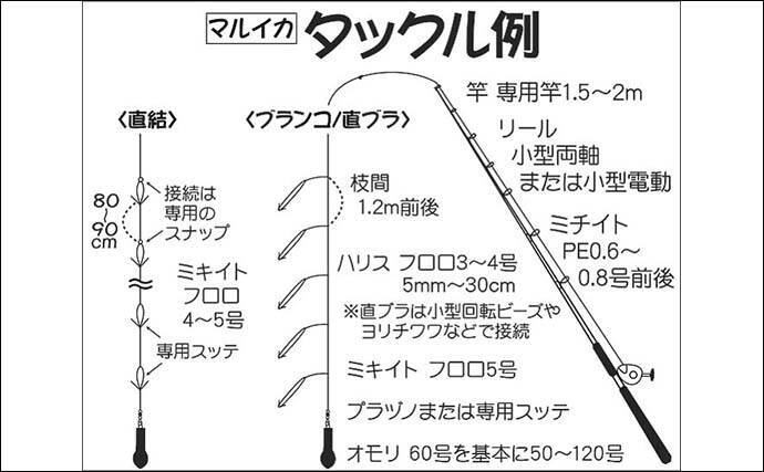 21関東 船マルイカ開幕 釣り方の基本から釣具の配置まで解説 21年3月26日 エキサイトニュース